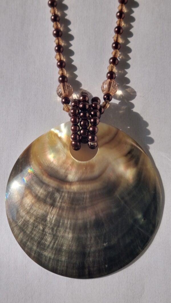 Brown Natural Seashell